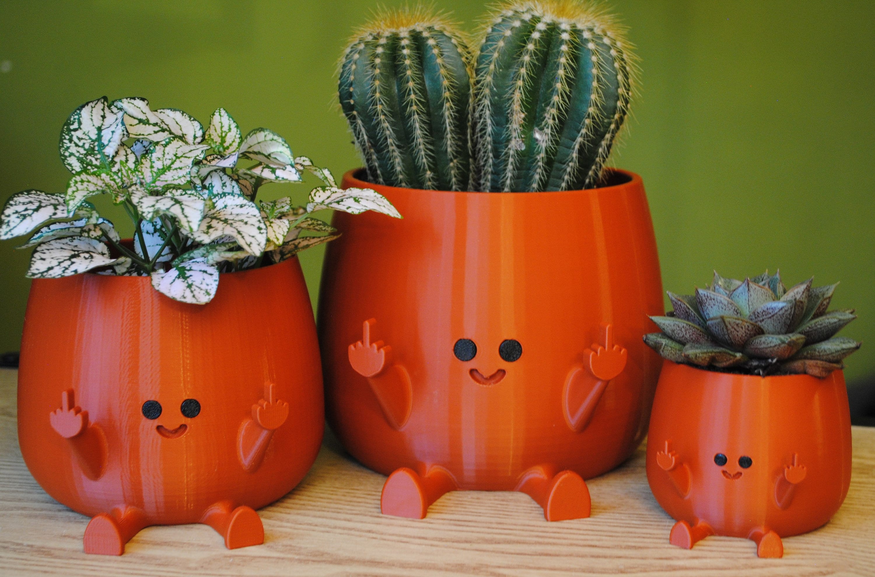 Happy Middle Finger Planter Kawaii Planter,planter Cute Face,succulent