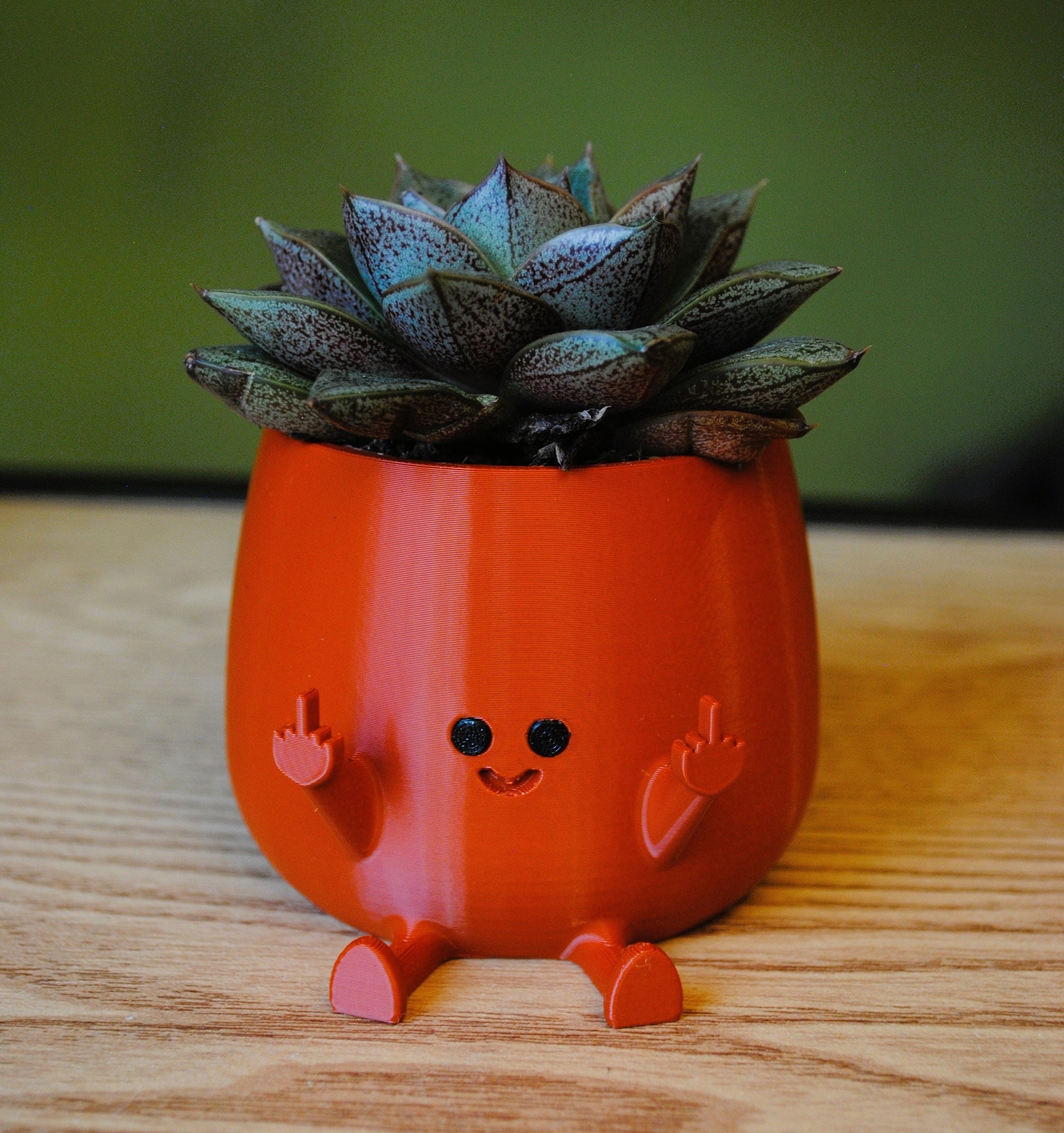 Happy Middle Finger Planter Kawaii Planter,planter Cute Face,succulent