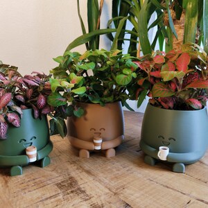 May include: Three plant pots in green and brown, each with a smiling face and holding a small cup. The pots contain colourful plants with green, pink, and red leaves. The pots are on a wooden table.
