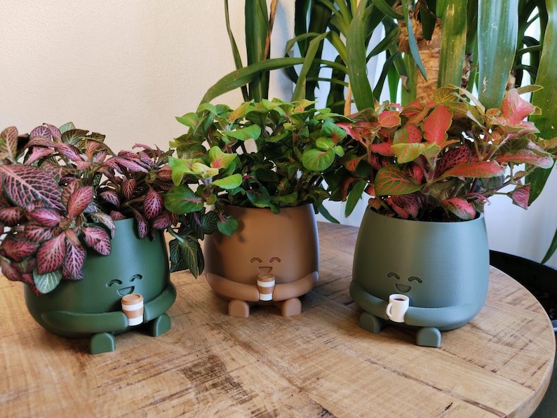 May include: Three plant pots in green and brown, each with a smiling face and holding a small cup. The pots contain colourful plants with green, pink, and red leaves. The pots are on a wooden table.