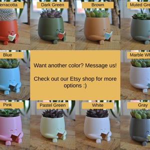 May include: A selection of small, colourful planters, each containing a succulent plant. The planters are in shades like terracotta, dark green, brown, and blue. Each planter has a face and is holding a book. The image text reads "Want another colour? Message us!"