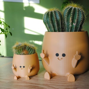 Happy Middle Finger Planter Color: Brown, Kawaii Planter,Planter Cute Face,Succulent Planter,Indoor Planter,Happy Face Plant Pot,Flower Pot image 4
