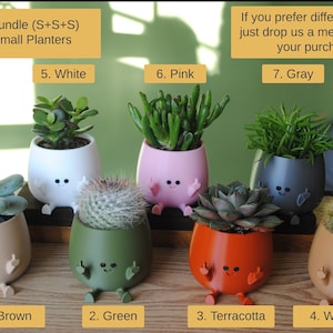 Happy Middle Finger Planter Color: Brown, Kawaii Planter,Planter Cute Face,Succulent Planter,Indoor Planter,Happy Face Plant Pot,Flower Pot image 6