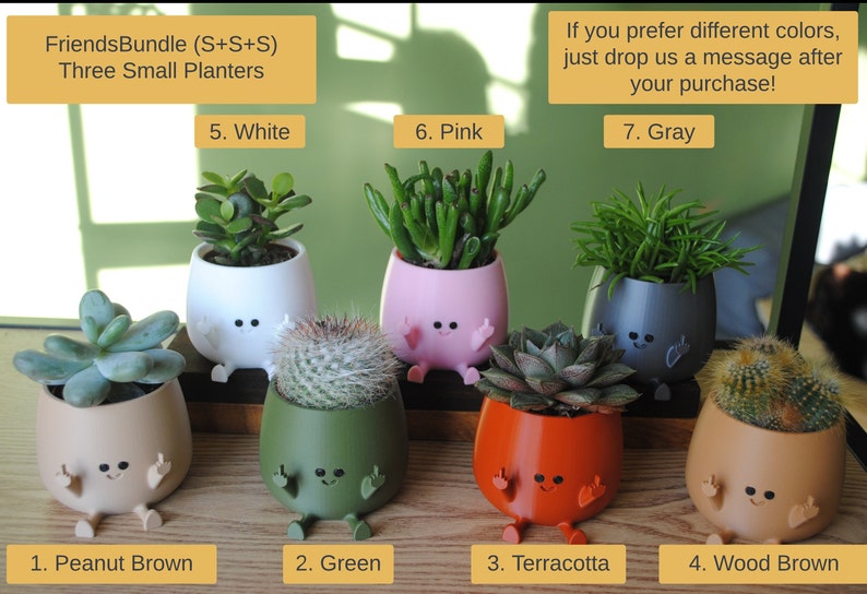 Happy Middle Finger Planter Color: Brown, Kawaii Planter,Planter Cute Face,Succulent Planter,Indoor Planter,Happy Face Plant Pot,Flower Pot image 6