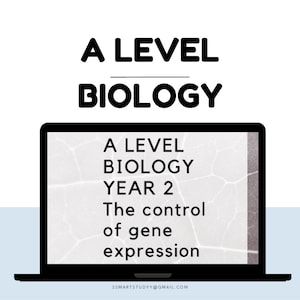 A Level Biology Gene expression Revision Study Guide Digital Notes