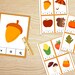 Printable Fall Activity Pages, Math &amp; Literacy Worksheet Learning Pages ...