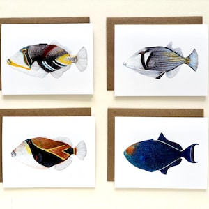 May include: Four greeting cards featuring detailed illustrations of colorful fish. Each card has a white background with a different fish design, including a black, yellow, and white fish, and a blue fish. The cards are set against a brown background.