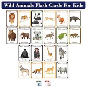 Schede didattiche sugli animali selvatici per bambini / Schede didattiche didattiche / Schede didattiche sugli animali del safari / Download digitale