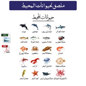 ملصق تعليم أسماء حيوانات المحيط للأطفال - تنزيل رقمي بتنسيق PDF وJPG قابل للطباعة للأطفال والصغار