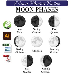 Puede incluir: Un gráfico que muestra las ocho fases de la luna, con ilustraciones de cada fase y el nombre de la fase debajo de cada ilustración. Las fases son: Luna nueva, Luna creciente, Cuarto creciente, Luna gibosa creciente, Luna llena, Luna gibosa menguante, Cuarto menguante y Luna menguante.