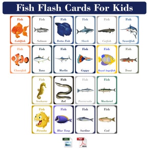 Schede didattiche di pesci per bambini / Strumento di apprendimento divertente / 20 schede di pesci uniche / Download digitale PDF e JPG
