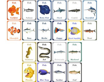 Fish Flash Cards for Kids | Marine Life Learning (Digital Download PDF & JPG )
