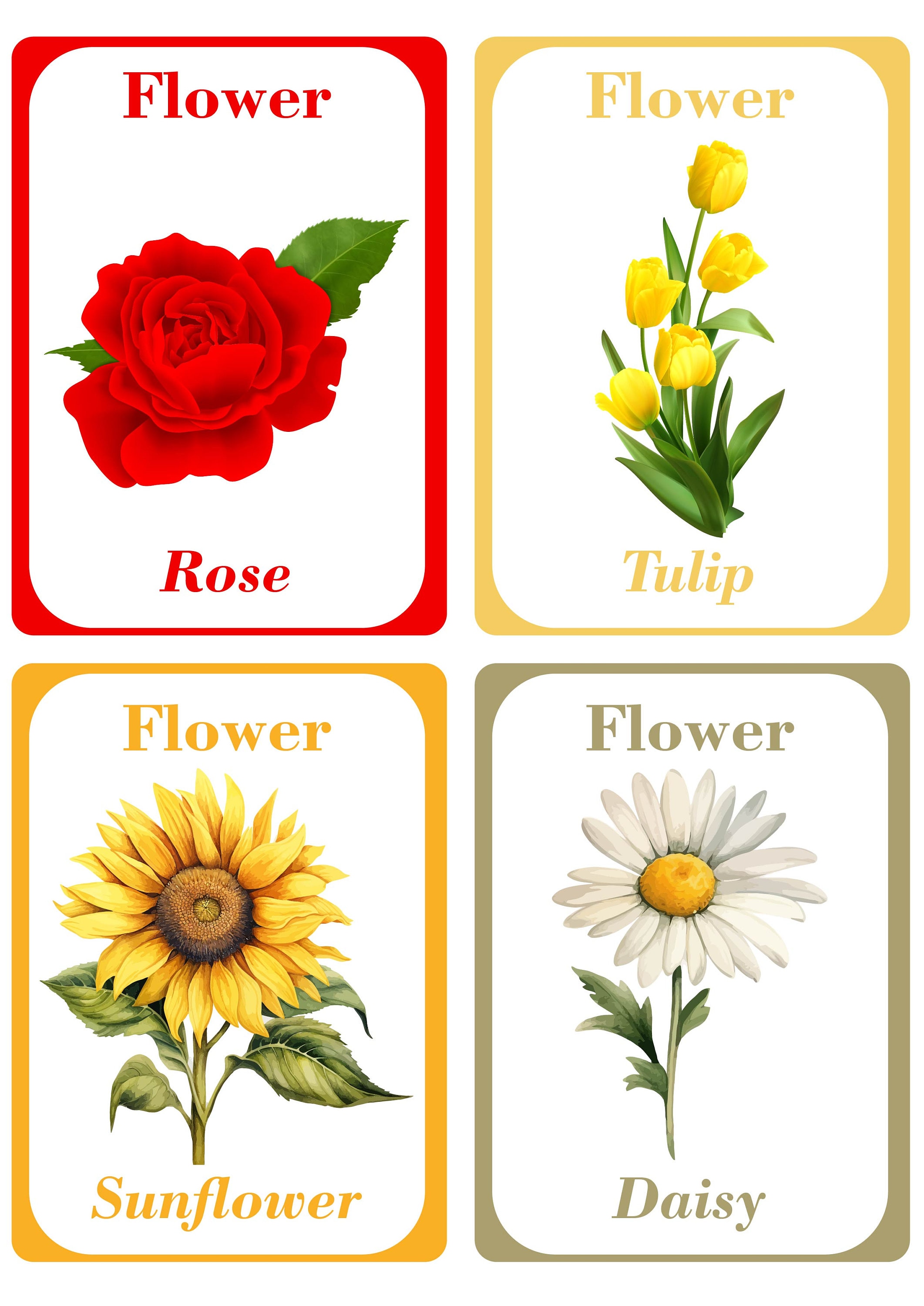 Flower Flash Cards for Kids - Learn Flower Names JPG and PNG - Etsy, image size:2123x3000