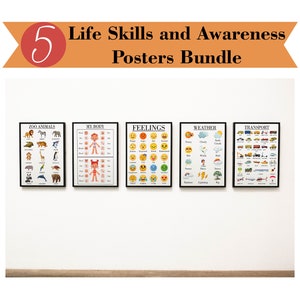 Paquete de carteles sobre habilidades y concienciación para la vida de los niños: formatos PDF y JPG que incluyen partes del cuerpo, sentimientos, transporte, clima, zoológico y carteles para niños