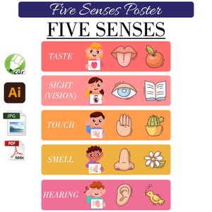 Póster de aprendizaje de los cinco sentidos para niños Descarga instantánea PDF JPG Imprimible