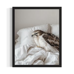 Hawk Bird Bedroom Poster Art Print, Bedroom Wall Art Poster, Original Painting Artwork Decor