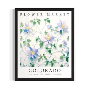 Colorado State Flower Market Poster Art Print, Living Room Wall Art Poster, Original Painting Artwork Decor
