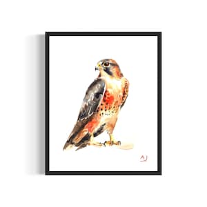 Póster de halcón, impresión artística, pintura de acuarela de pájaro, decoración de pared firmada por el artista