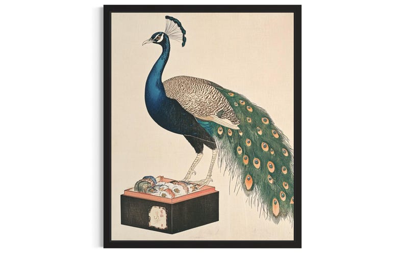 Peacock Animal Kitchen Sushi Poster Art Print, Kitchen Wall Art Poster ...