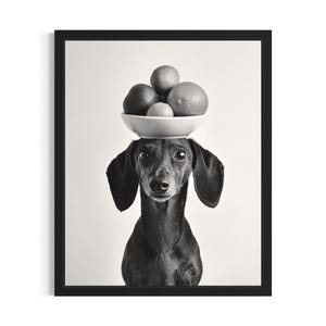 Dachshund with Fruit Bowl Kitchen Dog Poster Art Print, Kitchen Wall Art Poster, Original Painting Artwork Decor