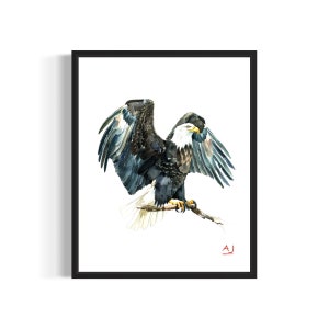 Bald Eagle Poster Art Print, Watercolor Bird Painting Wall Decor Signed by Artist