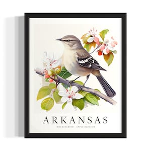 Arkansas Bird States Art Print, Living Room Wall Art Poster, Original Painting Artwork Decor
