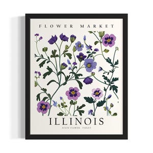 Illinois bloemenmarkt staten Art Print, woonkamer muur kunstposter, origineel schilderij artwork decor