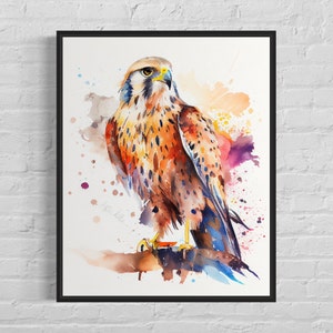 Turmfalke Aquarell Kunstdruck, Turmfalke Malerei Aquarell, Turmfalke Originalkunstwerk vom Künstler
