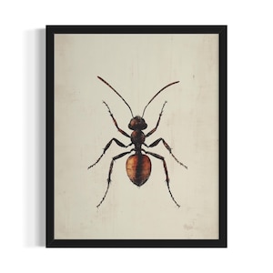 Ant Insects Poster Art Print, Kitchen Wall Art Poster, Original Painting Artwork Decor