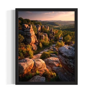 Illinois Shawnee National Forest States Art Print, woonkamer muurkunstposter, origineel schilderij artwork decor