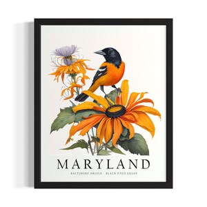 Maryland Bird States Art Print, Living Room Wall Art Poster, Original Painting Artwork Decor