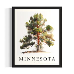 Minnesota Tree States plakat artystyczny, plakat ścienny do salonu, oryginalne dzieło sztuki dekoracyjnej