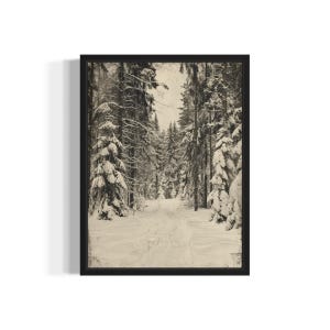 Winter Forest Poster Art Print, Vintage Gothic Wall Art Painting Decor Photo