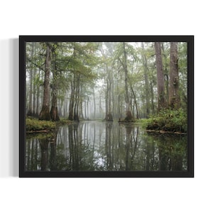 Illinois Cache River State natuurgebied staten Art Print, woonkamer muur kunstposter, origineel schilderij artwork decor