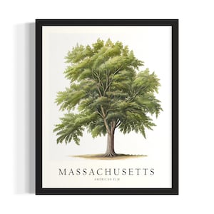 Massachusetts Tree States Poster Art Print, woonkamer muurkunstposter, origineel schilderij artwork decor