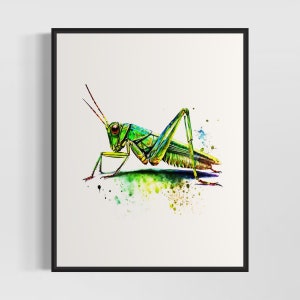Grasshopper Watercolor Art Print, Grasshopper Painting Wall Art Decor, Original Artwork  by Artist