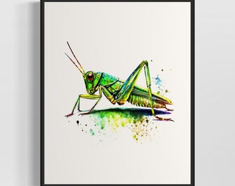 Grasshopper Watercolor Art Print, Grasshopper Painting Wall Art Decor, Original Artwork  by Artist