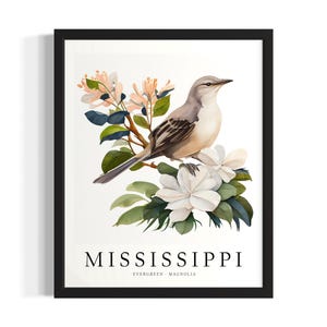 Mississippi Bird States Poster Art Print, Living Room Wall Art Poster, Original Painting Artwork Decor