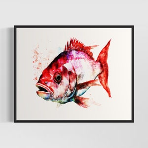 Red Snapper Art Print, Red Snapper Painting Wall Art Poster, Original Artwork  by Artist