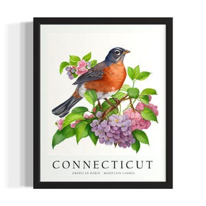 Connecticut Bird States Art Print, Living Room Wall Art Poster, Original Painting Artwork Decor