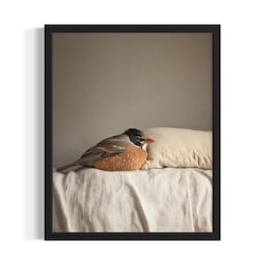 American Robin Bird Bedroom Poster Art Print, Bedroom Wall Art Poster, Original Painting Artwork Decor