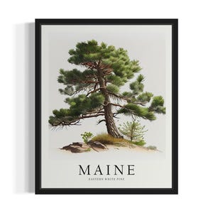 Maine Tree States Art Print, Living Room Wall Art Poster, Original Painting Artwork Decor