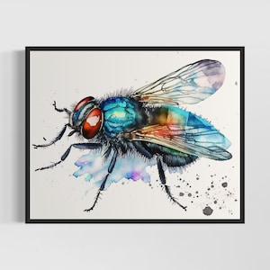 House Fly Watercolor Art Print, House Fly Painting Wall Art Decor, Original Artwork  by Artist