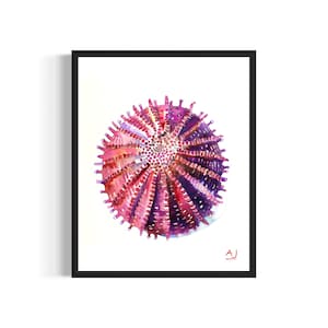 Sea Urchin Poster Art Print, Watercolor Sea Creature Animal Painting Wall Decor Signed by Artist