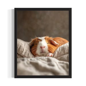 Póster artístico de conejillo de indias para dormitorio, póster de arte mural para dormitorio, pintura original decorativa