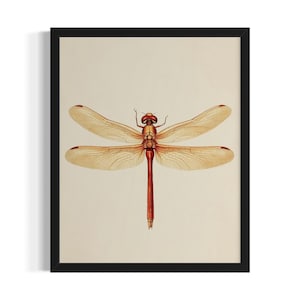 Dragonfly Insects Poster Art Print, Kitchen Wall Art Poster, Original Painting Artwork Decor