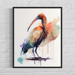 Ibis Watercolor Art Print, Ibis Painting Wall Art Decor, Ibis Original Artwork  by Artist