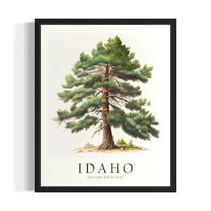 Idaho State Tree States Art Print, woonkamer muurkunstposter, origineel schilderij artwork decor