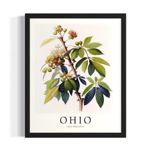 Ohio Tree States Poster Art Print, Living Room Wall Art Poster, Original Painting Artwork Decor