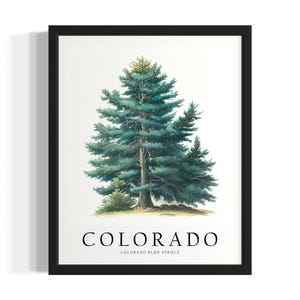 Colorado Tree States Art Print, Living Room Wall Art Poster, Original Painting Artwork Decor